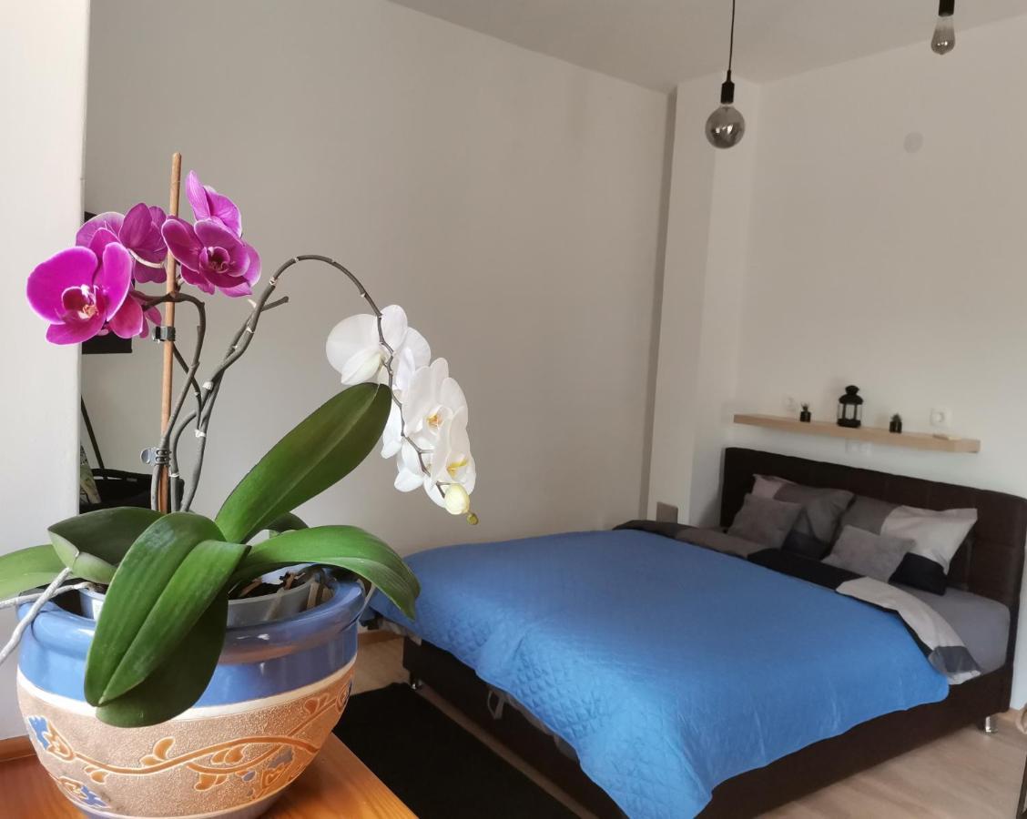 Apartments Sandra Lovran Luaran gambar